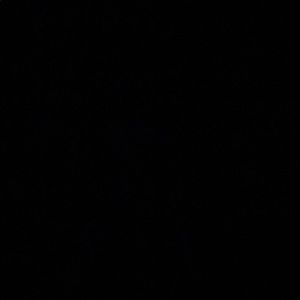 Meet your Posher, Sofi